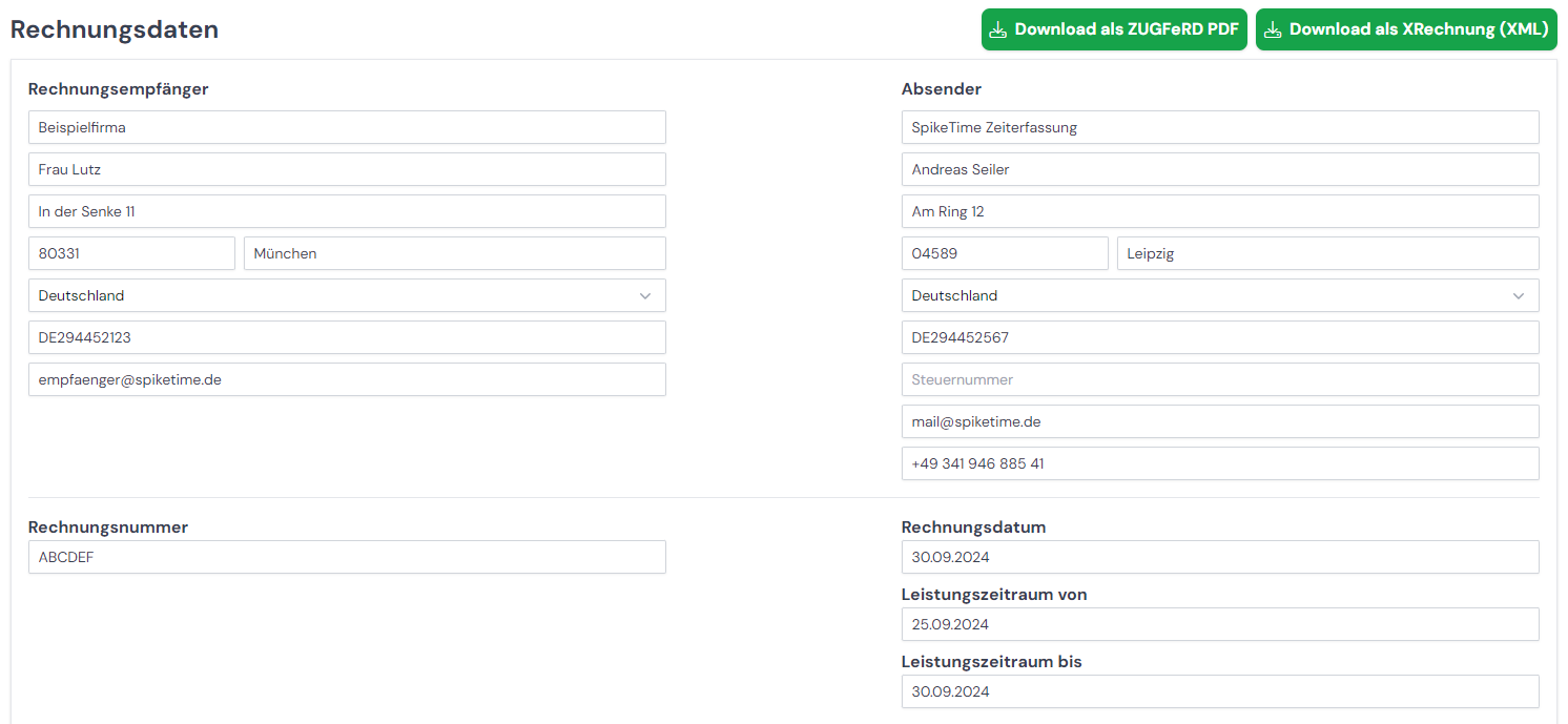 Rechnungsdaten im Formular eingeben